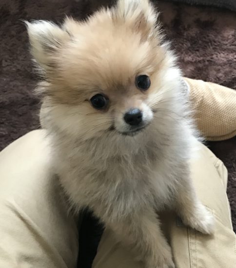 この眼差しに癒される