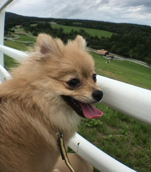 はじめての遠出