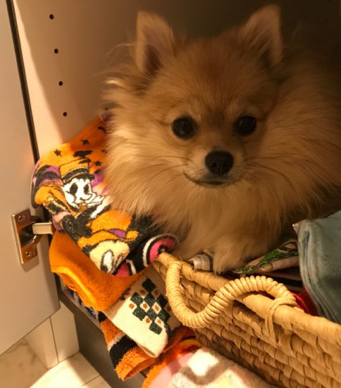 イタズラ発見！