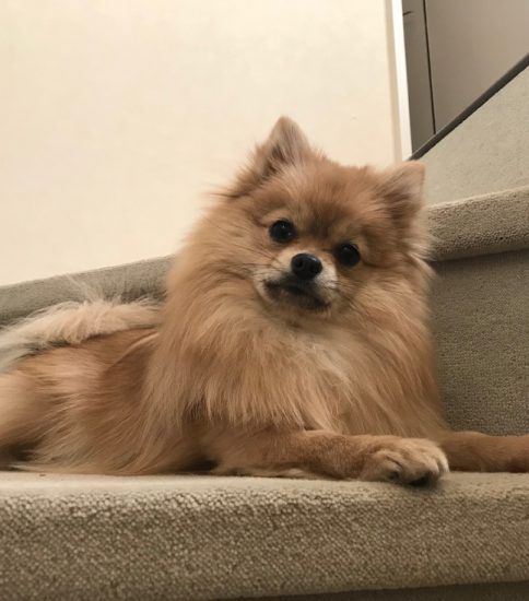 お気に入りの場所